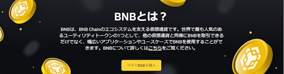 BNBコイン公式ホームページのスクリーンショット